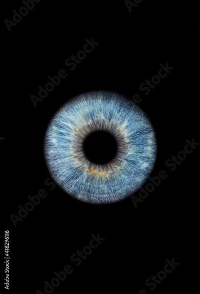 Fototapeta Close up of a blue eye iris on black background, macro, photography