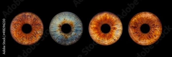 Fototapeta Close up of eye iris on black background, macro, photography