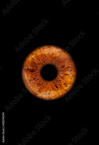 Fototapeta Close up of a brown eye iris on black background, macro, photography