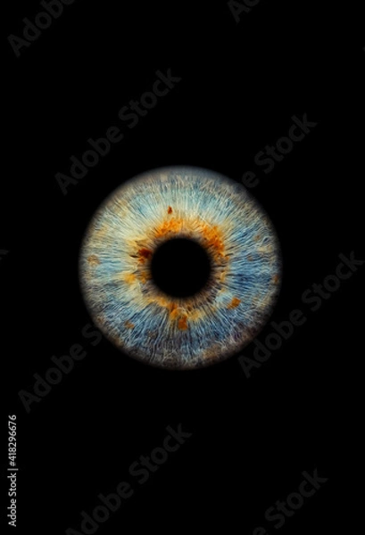 Fototapeta Close up of a blue and brown eye iris on black background, macro, photography