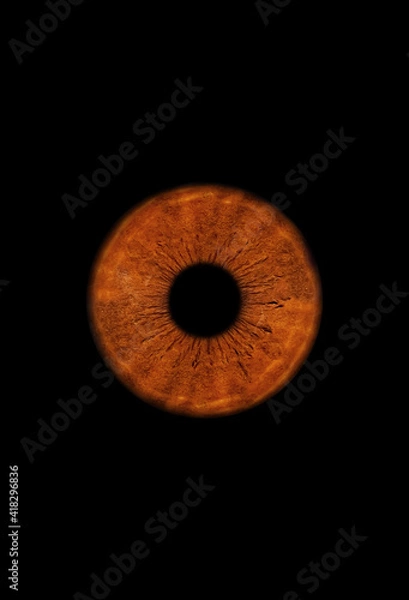 Fototapeta Close up of a brown eye iris on black background, macro, photography