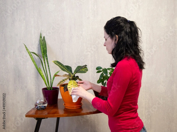 Obraz OLYMPUS DIGITAL CAMERA