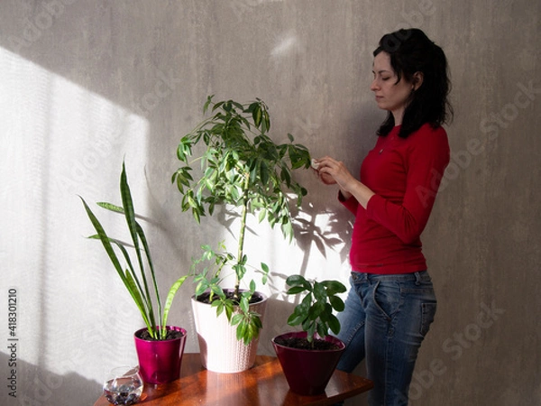 Obraz OLYMPUS DIGITAL CAMERA