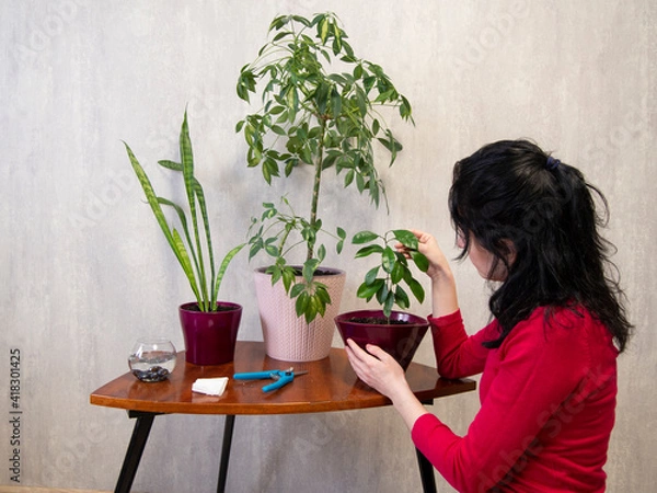 Obraz OLYMPUS DIGITAL CAMERA