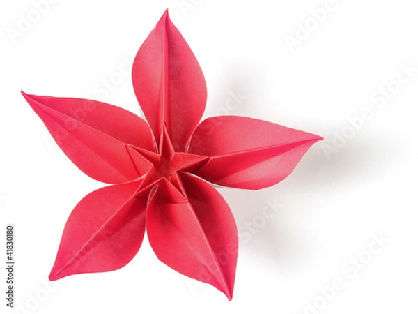 Obraz flower exotic origami