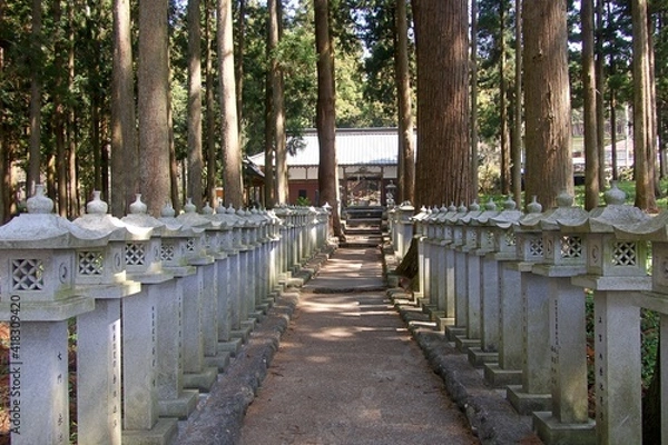 Fototapeta 灯籠が並ぶ道