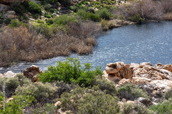 Obraz stream flowing