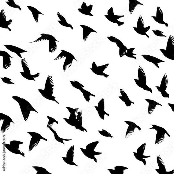 Fototapeta A large flock of flying birds. Free birds. Vector illustration