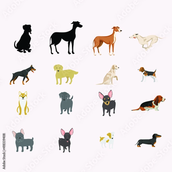 Fototapeta Various kind of dog is isolated. Vector Illustration.
