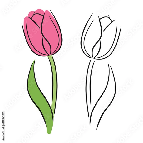 Fototapeta Tulip flower line continuous . Minimalist art. Set of colorful and black line illustration