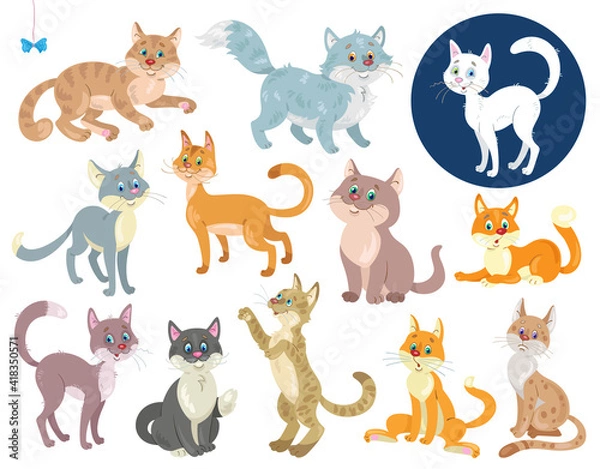 Fototapeta Set of funny cats in different colors and  in various poses. In cartoon style. Isolated on white background. Vector flat illustration.