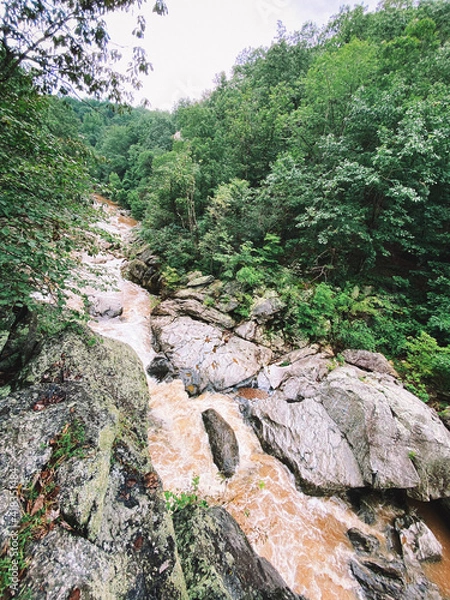 Obraz mountain river in the mountains