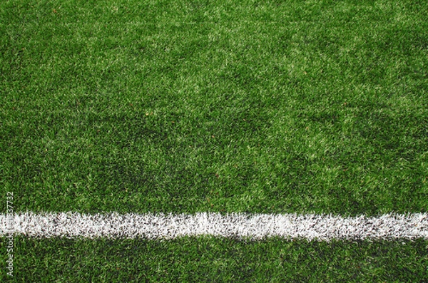 Obraz soccer field grass
