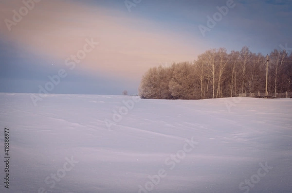 Obraz Snowy field with trees and clouds.