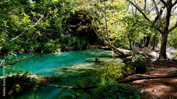 Obraz river in the forest