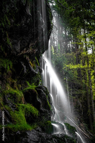Fototapeta A small waterfall in an hidden place in black forrest - germany