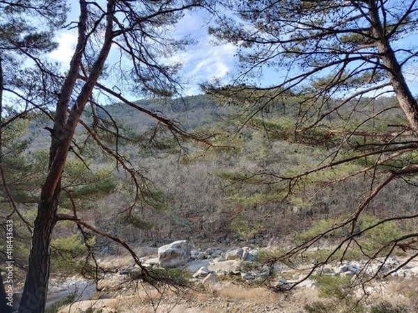 Obraz 녹색으로 물든 산