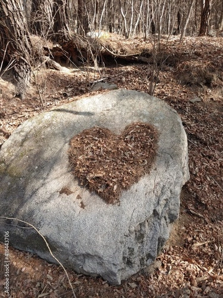 Fototapeta 바위위에 하트