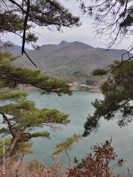 Obraz 솔나무 사이로 보이는 풍경