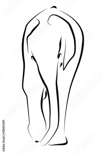 Fototapeta 象のラインアート