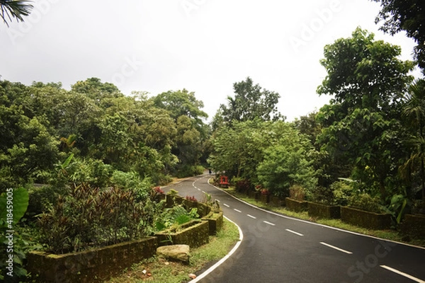 Obraz Empty gravel curved asphalt road through green village forest of deciduous trees illuminated by sunbeams in mist. Beautiful summer landscape of clean country path surrounded by woods under cloudy sky.