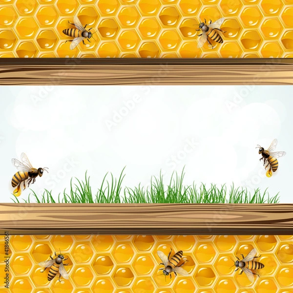 Fototapeta Landscape frame with bees and honeycombs