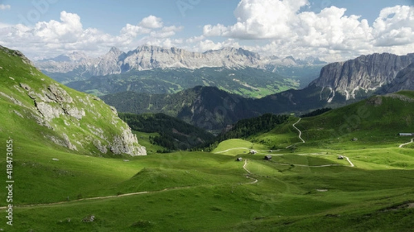 Obraz alpine meadow in the mountains