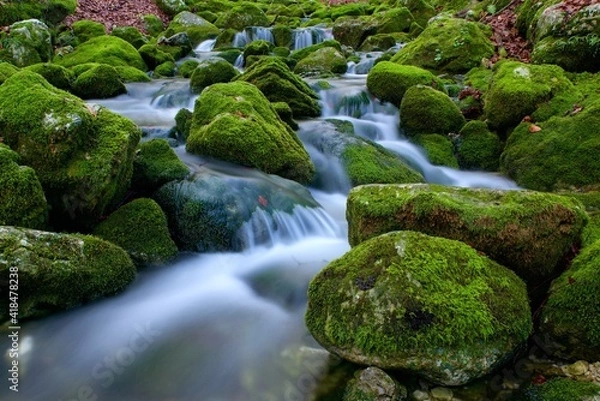 Obraz Le sorgenti dell'Arzino