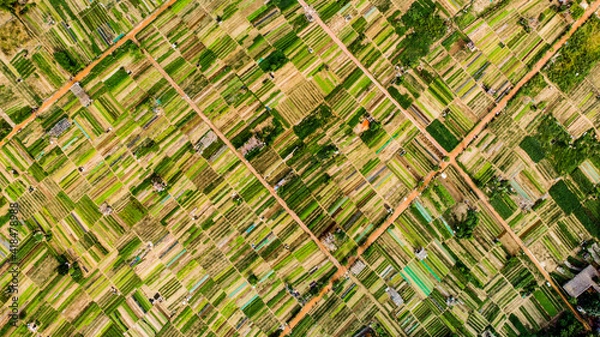 Obraz grass background