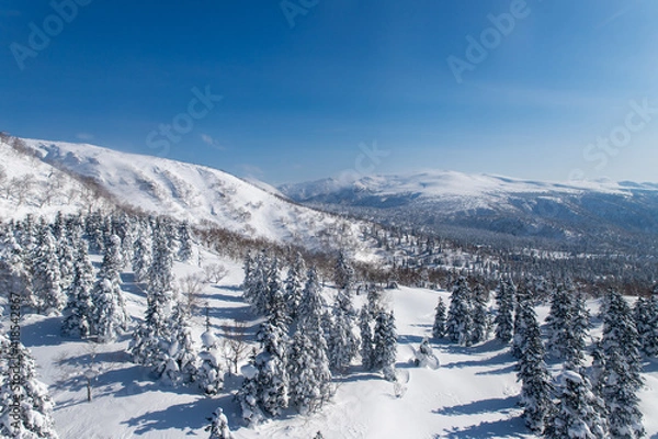Fototapeta 北海道　大雪山旭岳の冬の風景