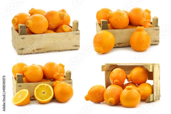 Fototapeta fresh and colorful  Minneola tangelo fruit and a cut one in a wooden crate on a white background