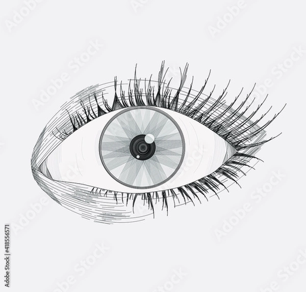 Fototapeta Vector illustration of a realistic left eye, with lashes, made and shaded based on lines, isolated on a light gray background