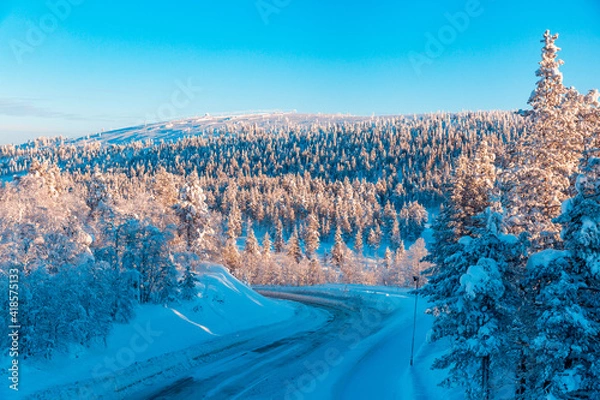 Obraz Winter forest in Finland