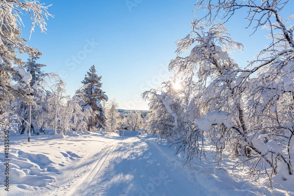 Obraz Winter landscape	
