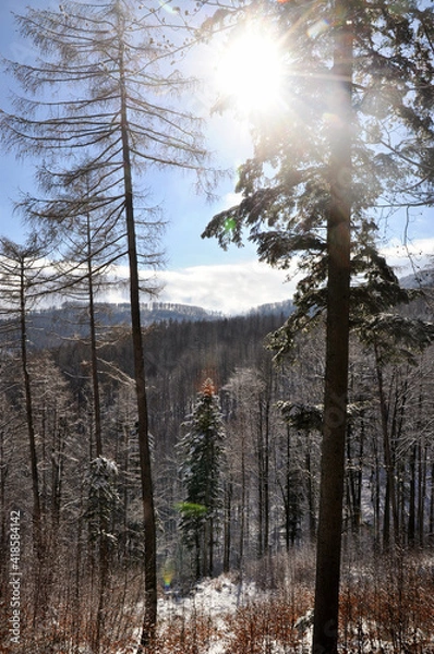 Obraz górski widok