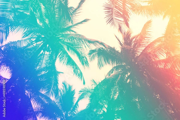 Fototapeta Tropical palm leaf background with an 80s style turquoise to pink gradient