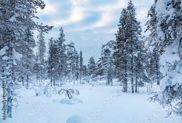 Obraz Winter landscape