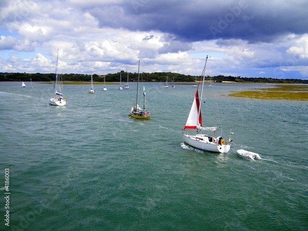 Obraz Yacht Regatta - Yachts into Harbour 
