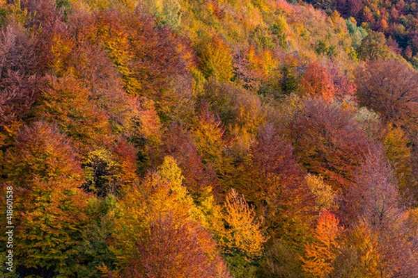Obraz autumn in the mountains