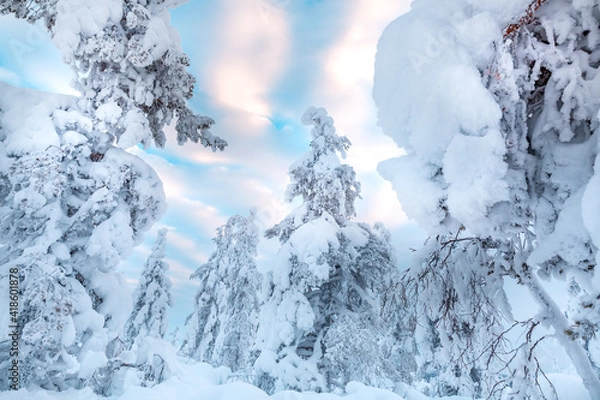 Obraz Winter landscape