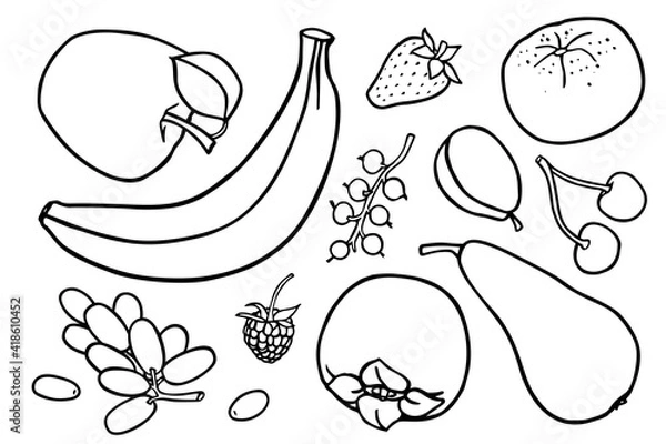 Fototapeta Coloring book with fruits images. Vector illustration.