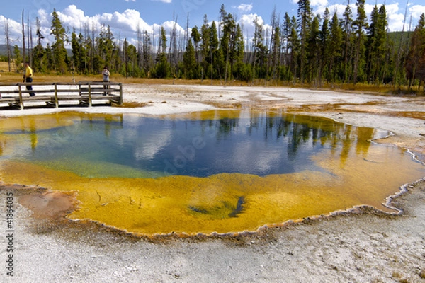 Fototapeta Yellowstone