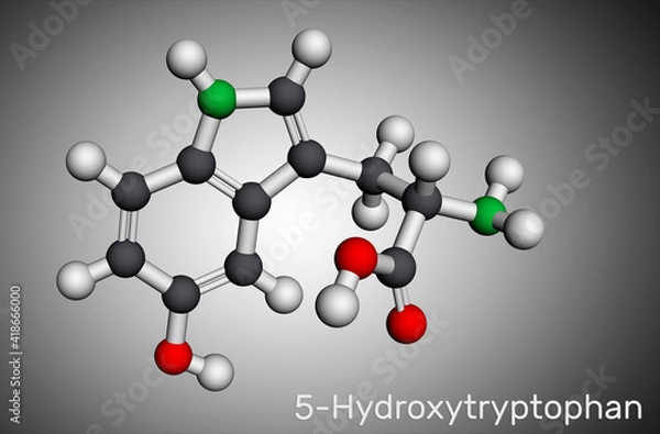 Fototapeta 5-Hydroxytryptophan, 5-HTP, hydroxytryptophan, oxitriptan molecule. It is naturally occurring amino acid, tryptophan derivative. Molecular model. 3D rendering