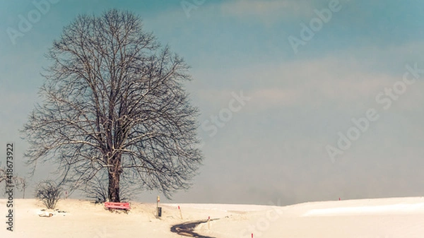 Obraz Tree and Snow
