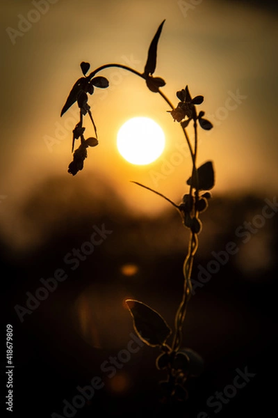 Obraz Sonnenuntergang
