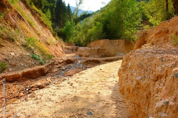 Obraz river in the forest