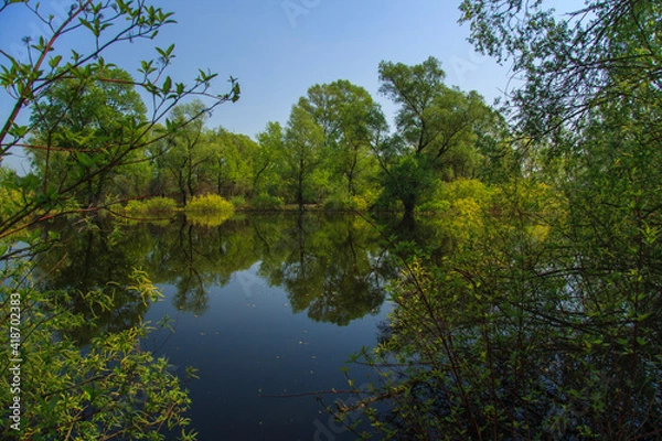 Fototapeta Spring flood. Trees standing in the water