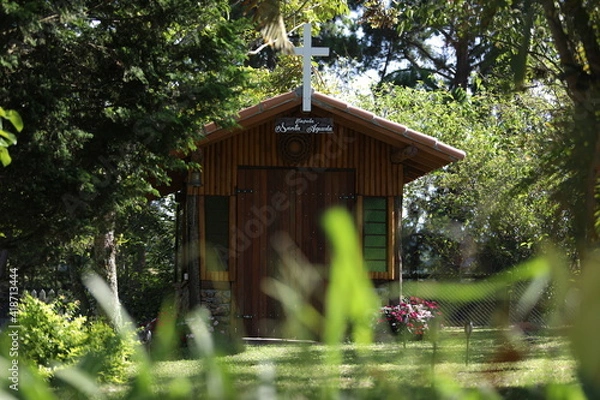 Obraz Cavalo Quarto de Milha