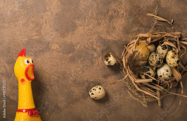 Fototapeta Yellow plastic chicken with quail eggs on a brown background