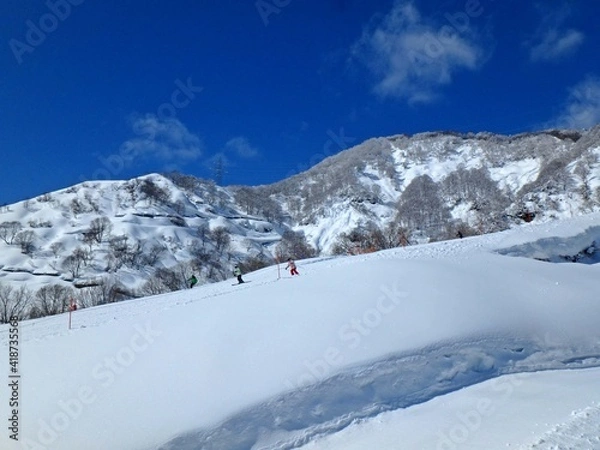 Obraz 快晴のスキー場、最高のコンデションのゲレンデ、雪山です。